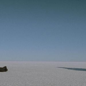 Fotoğraf Un 32 Août Sur Terre