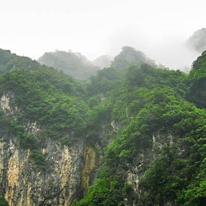 Fotoğraf Born In China