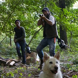 Fotoğraf Joel Edgerton