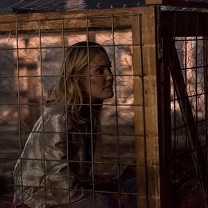 Fotoğraf Leslie Bibb