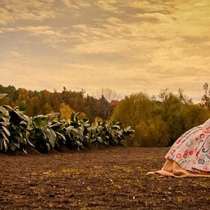 Fotoğraf Emily Browning