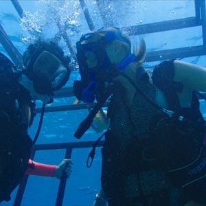 Fotoğraf Denizde Dehşet