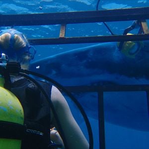 Fotoğraf Denizde Dehşet