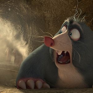 Fotoğraf Fındık İşi 2