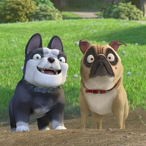 Fotoğraf Fındık İşi 2