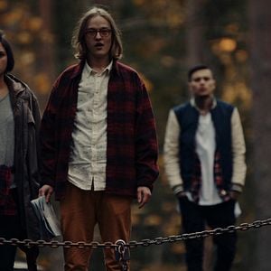 Fotoğraf Mimosa Willamo