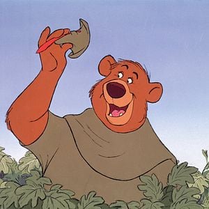 Fotoğraf Robin Hood