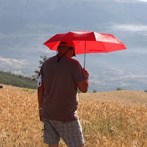 Fotoğraf Kiraz Mevsimi