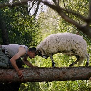 Fotoğraf Aşk ve Savaş