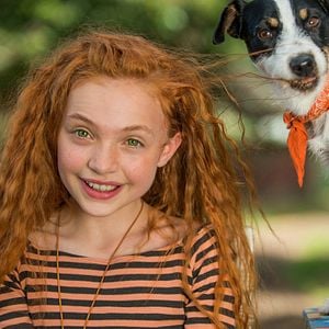 Fotoğraf Sevimli Dostlar