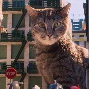 Fotoğraf LEGO Ninjago Filmi