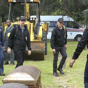 Fotoğraf Mark Harmon