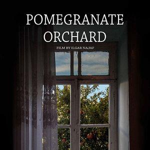 Fotoğraf Pomegranate Orchard