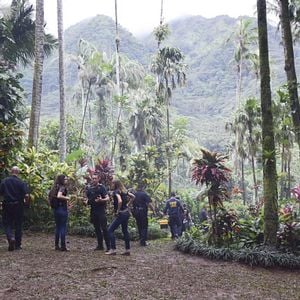 Fotoğraf Alex O'Loughlin