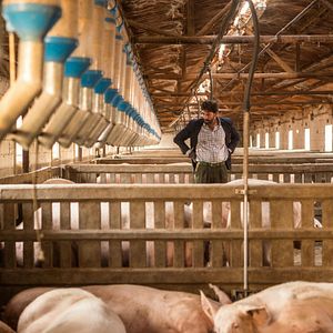 Fotoğraf Antonio Garrido