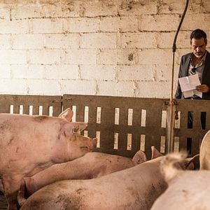 Fotoğraf Filipe Duarte