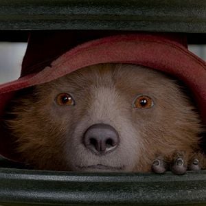 Fotoğraf Ayı Paddington 2