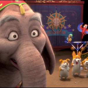 Fotoğraf Ayı Kardeşler 3: Sirkte Curcuna