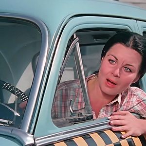 Fotoğraf Şoför Nebahat