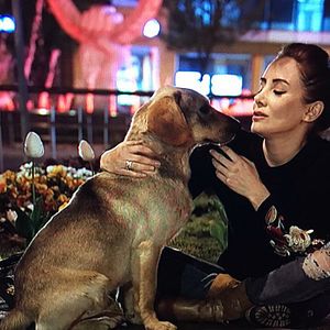 Fotoğraf Elim Sende