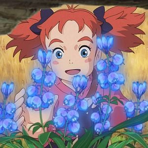 Fotoğraf Meari To Majo No Hana