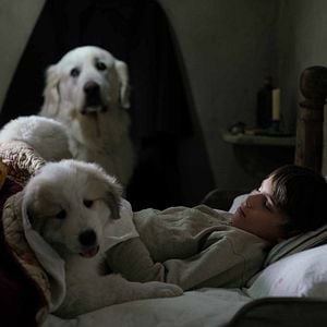 Fotoğraf Félix Bossuet