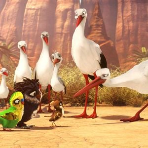 Fotoğraf Bak Şu Leyleğe