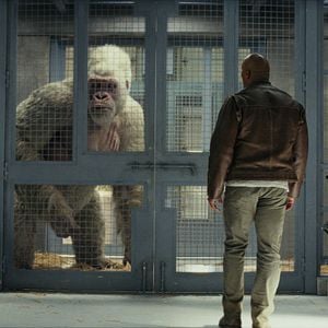 Fotoğraf Dwayne Johnson