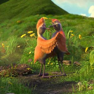 Fotoğraf Puloi: Asla Yalnız Uçmayacaksın