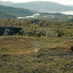 Fotoğraf Lene Cecilia Sparrok