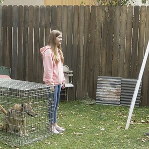 Fotoğraf John Ross Bowie