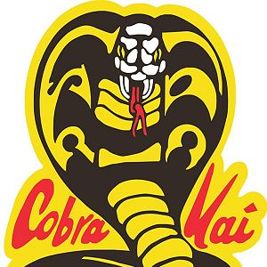 Fotoğraf Cobra Kai