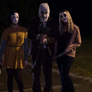 Fotoğraf Ziyaretçiler: Gece Avı