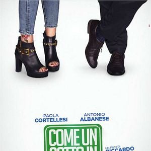 Fotoğraf Come Un Gatto In Tangenziale