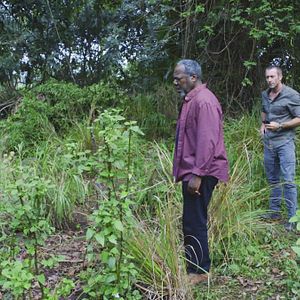 Fotoğraf Alex O'Loughlin