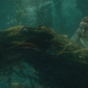 Fotoğraf Fantastik Canavarlar: Grindelwald'ın Suçları