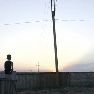 Fotoğraf Uzakta Havlayan Köpekler