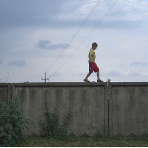 Fotoğraf Uzakta Havlayan Köpekler