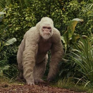 Fotoğraf Rampage: Büyük Yıkım