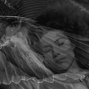 Fotoğraf Arzunun Kanatları