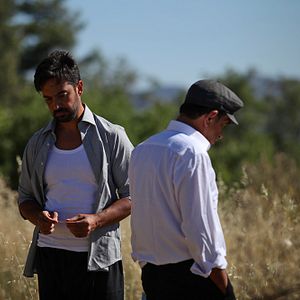 Fotoğraf Kiraz Mevsimi