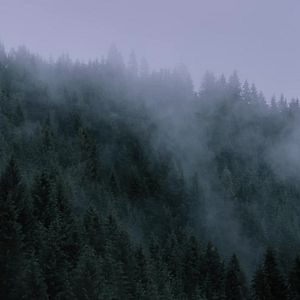 Fotoğraf Hagazussa: Kafirin Laneti