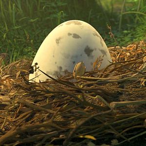 Fotoğraf Puloi: Asla Yalnız Uçmayacaksın