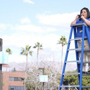 Fotoğraf Kaliko Kauahi