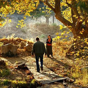 Fotoğraf Ahlat Ağacı