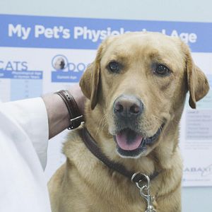 Fotoğraf Hawaii Five-0 (2010)