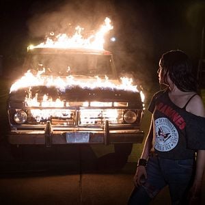 Fotoğraf Ziyaretçiler: Gece Avı