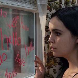 Fotoğraf Ziyaretçiler: Gece Avı