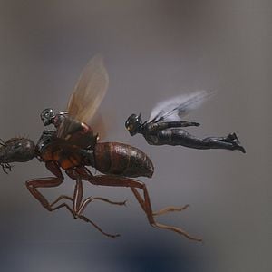 Fotoğraf Ant-Man ve Wasp