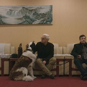 Fotoğraf Sankt Bernhard Syndikatet